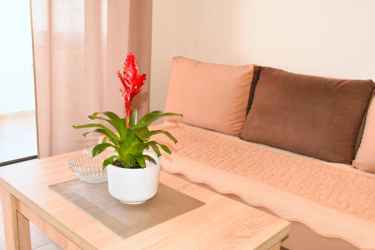 Studio Apartments Jupo Ulcinj Zewnętrze zdjęcie